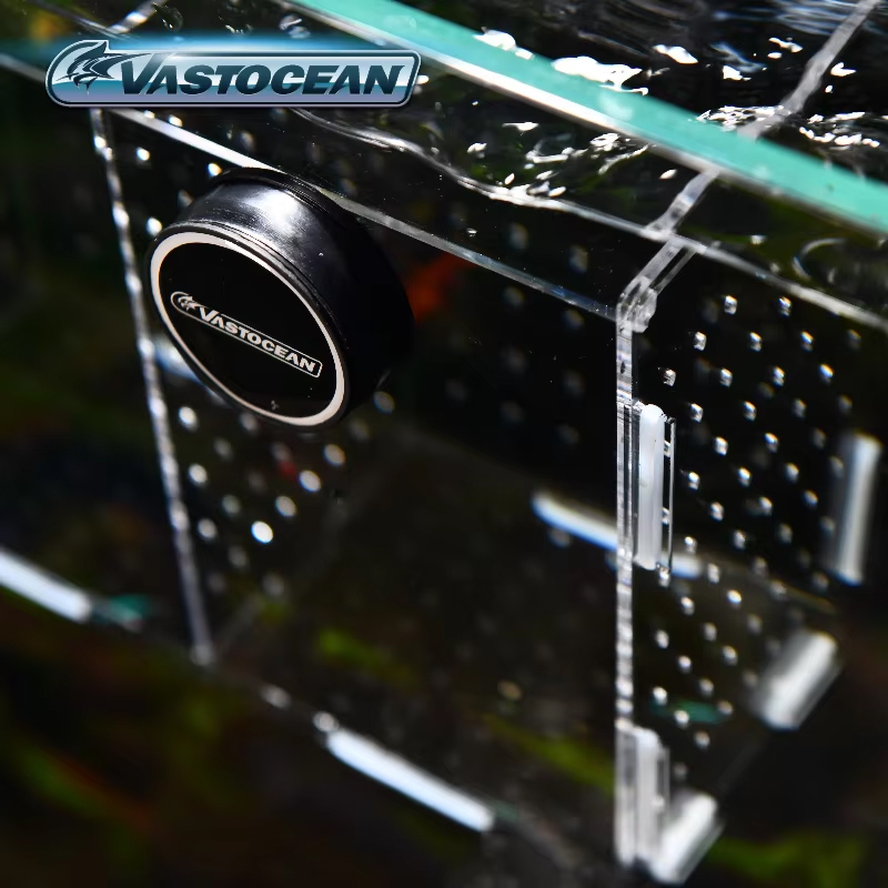 VASTOCEAN-Magnetic Combined Ac - Seaweed Snack review and price